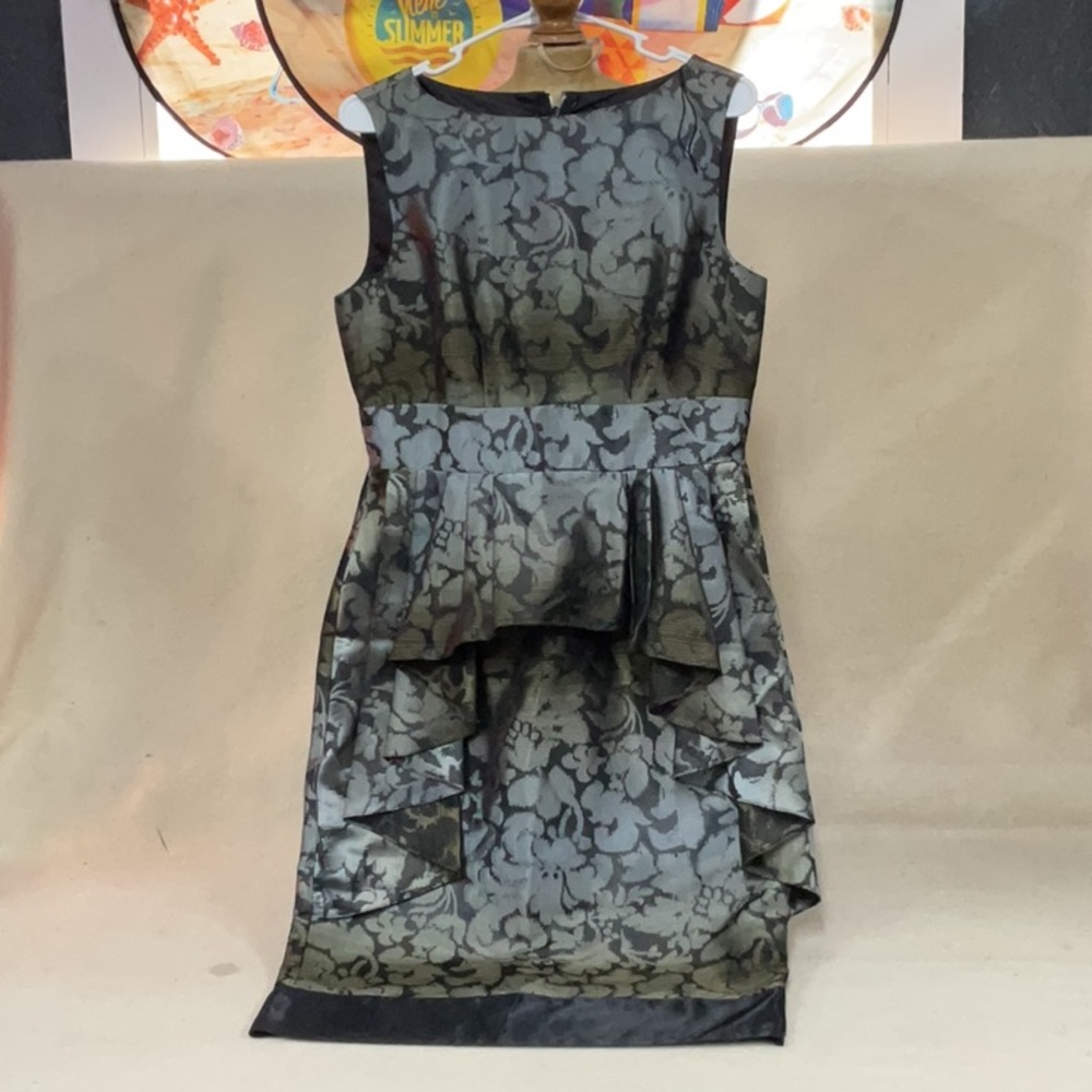 EUC Woman’s sleeveless zip up Andianna PAPELL dress
